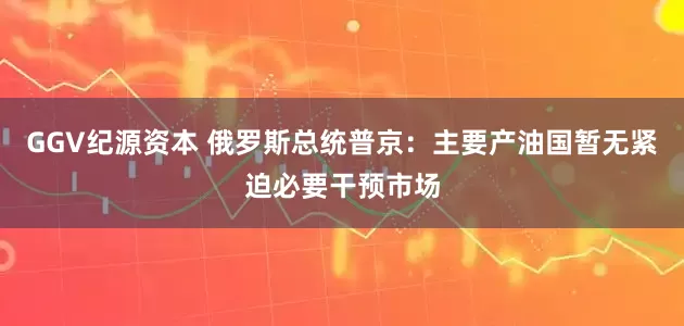 GGV纪源资本 俄罗斯总统普京:主要产油国暂无紧迫必要干预市场