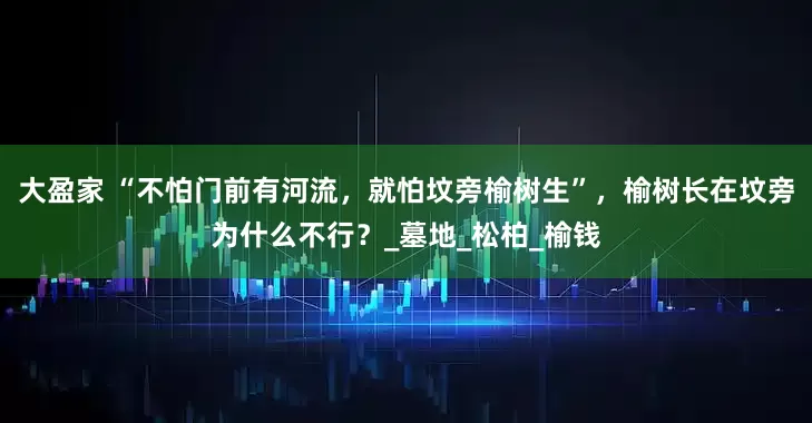大盈家 “不怕门前有河流，就怕坟旁榆树生”，榆树长在坟旁为什么不行？_墓地_松柏_榆钱