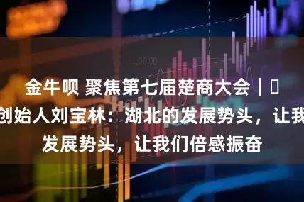 金牛呗 聚焦第七届楚商大会｜​九州通集团创始人刘宝林：湖北的发展势头，让我们倍感振奋